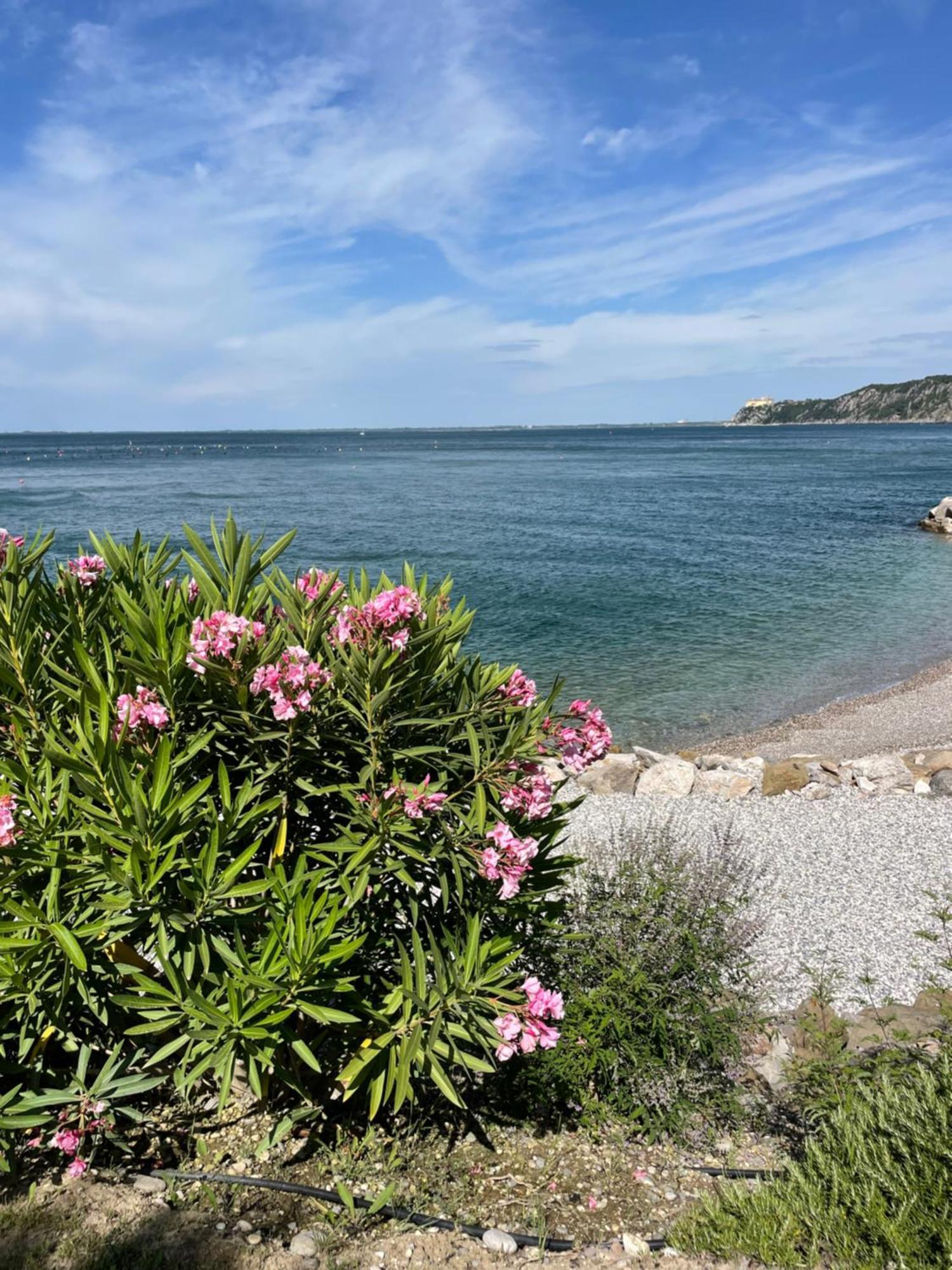 Ferienwohnung Portopiccolo Sul Mare - Sistiana Exterior foto